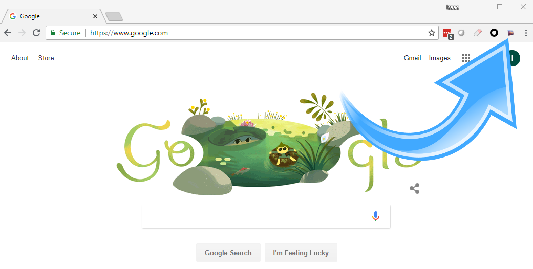 Extension Instructions